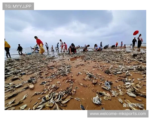 台风过后惠州赶海热潮涌现，惠州海边能赶海吗